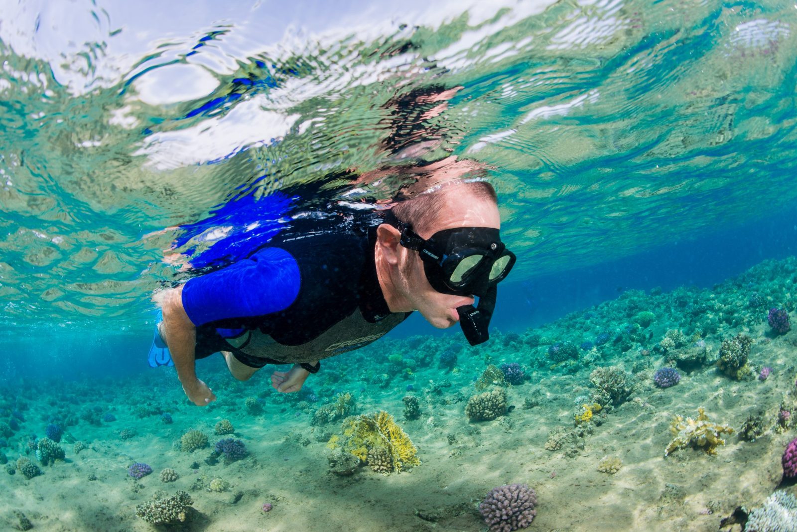 This unique site serves as an artificial reef helping to regenerate coral life.