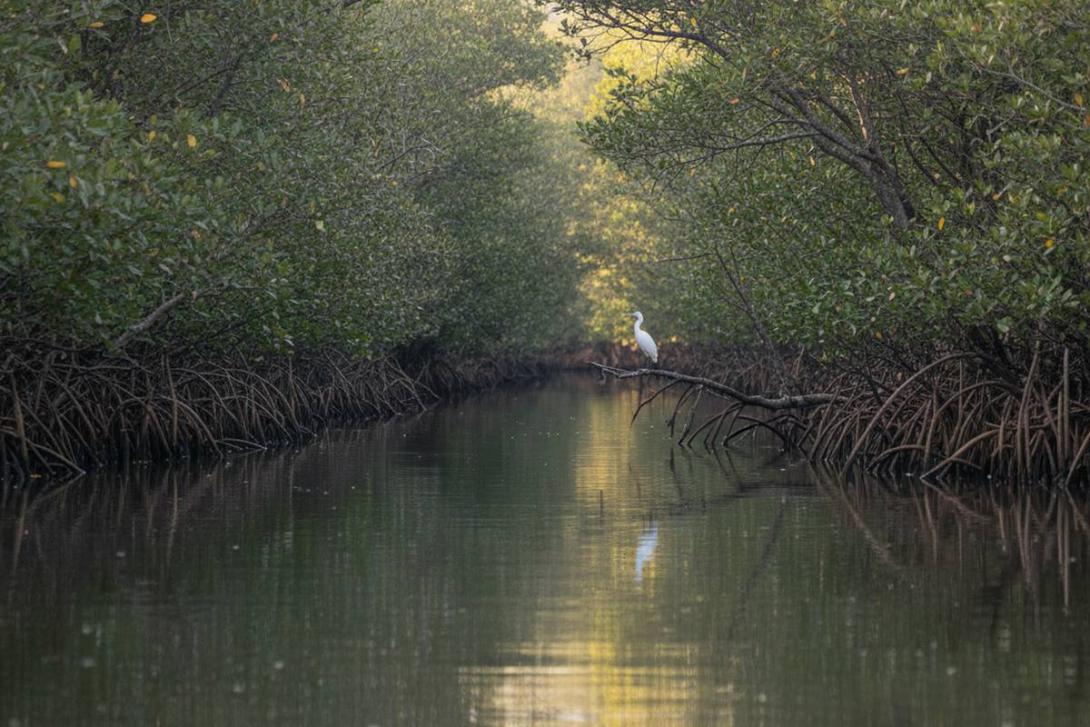 This area is known for high visibility and abundant tropical fish.