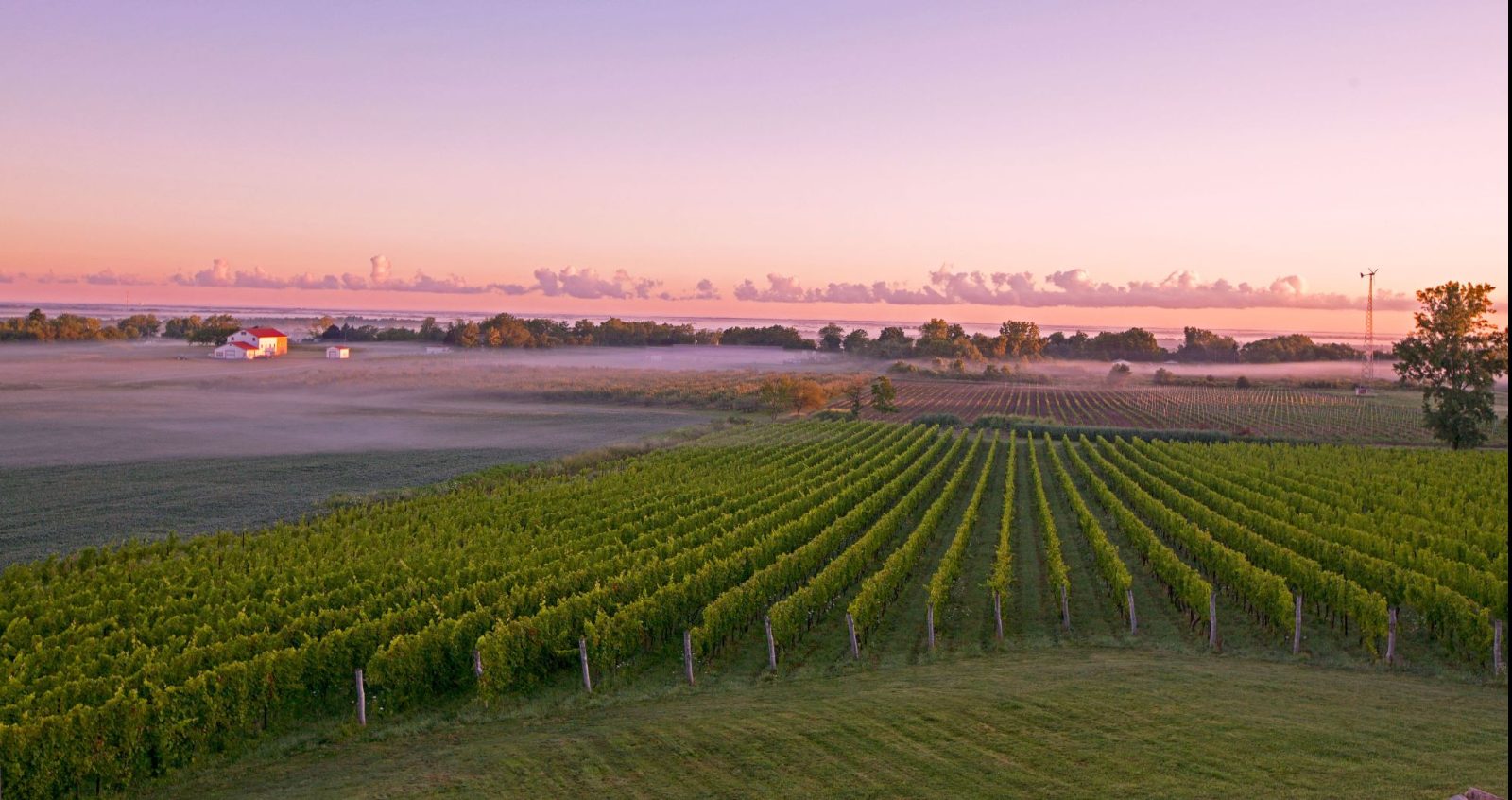 Niagara on the Lake Wine Tours Explained