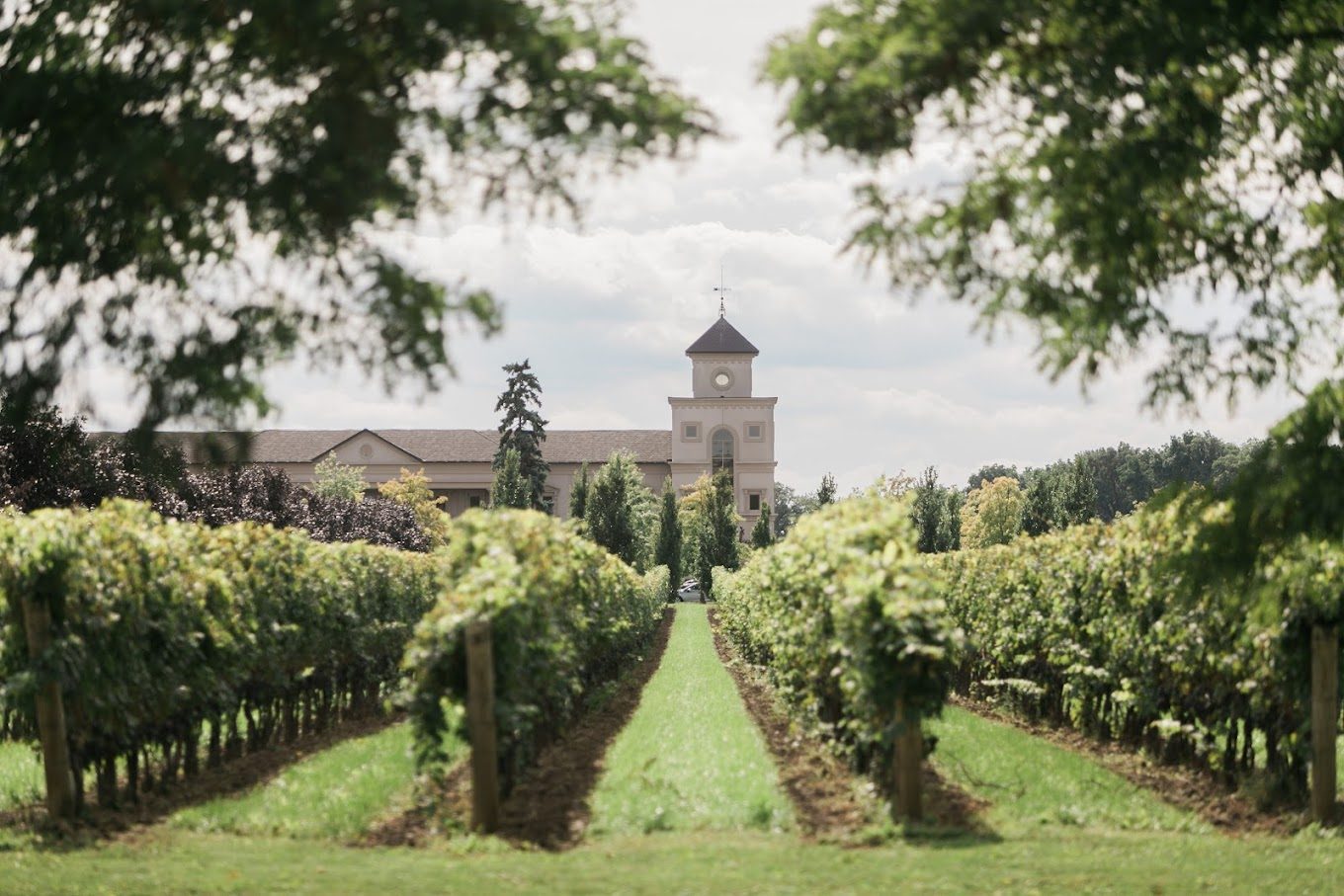 Niagara on the Lake Wine Tours