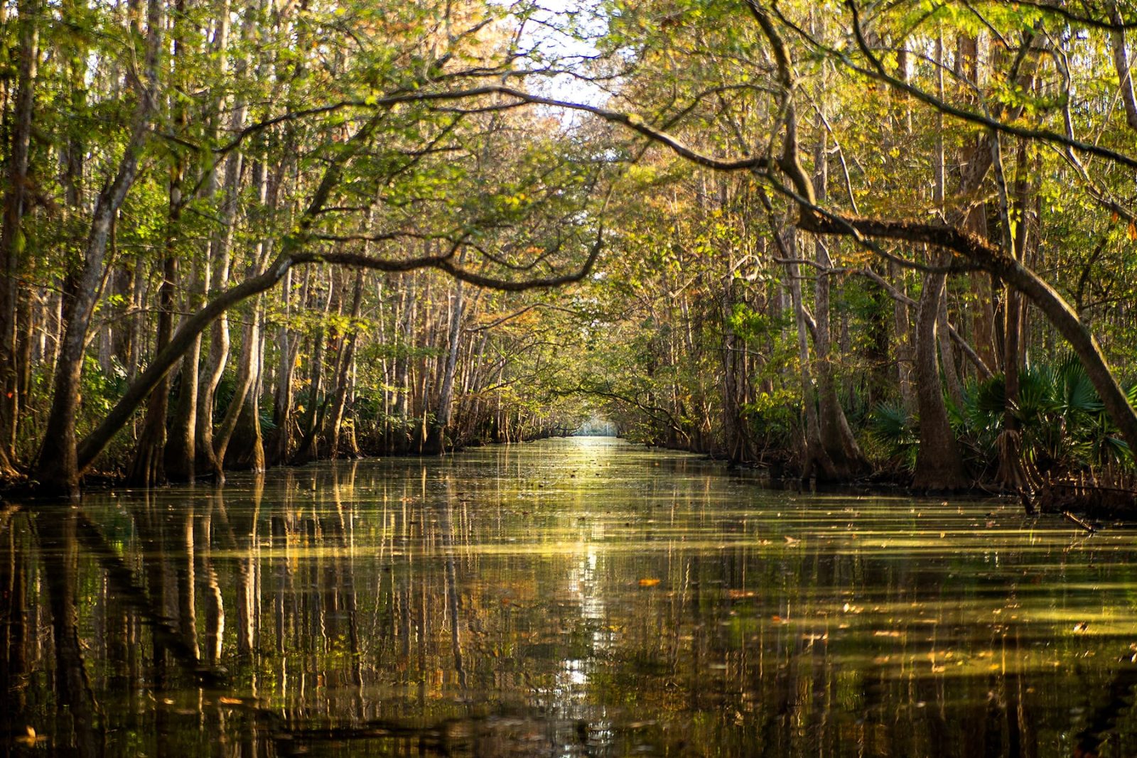 Choctawhatchee Bay