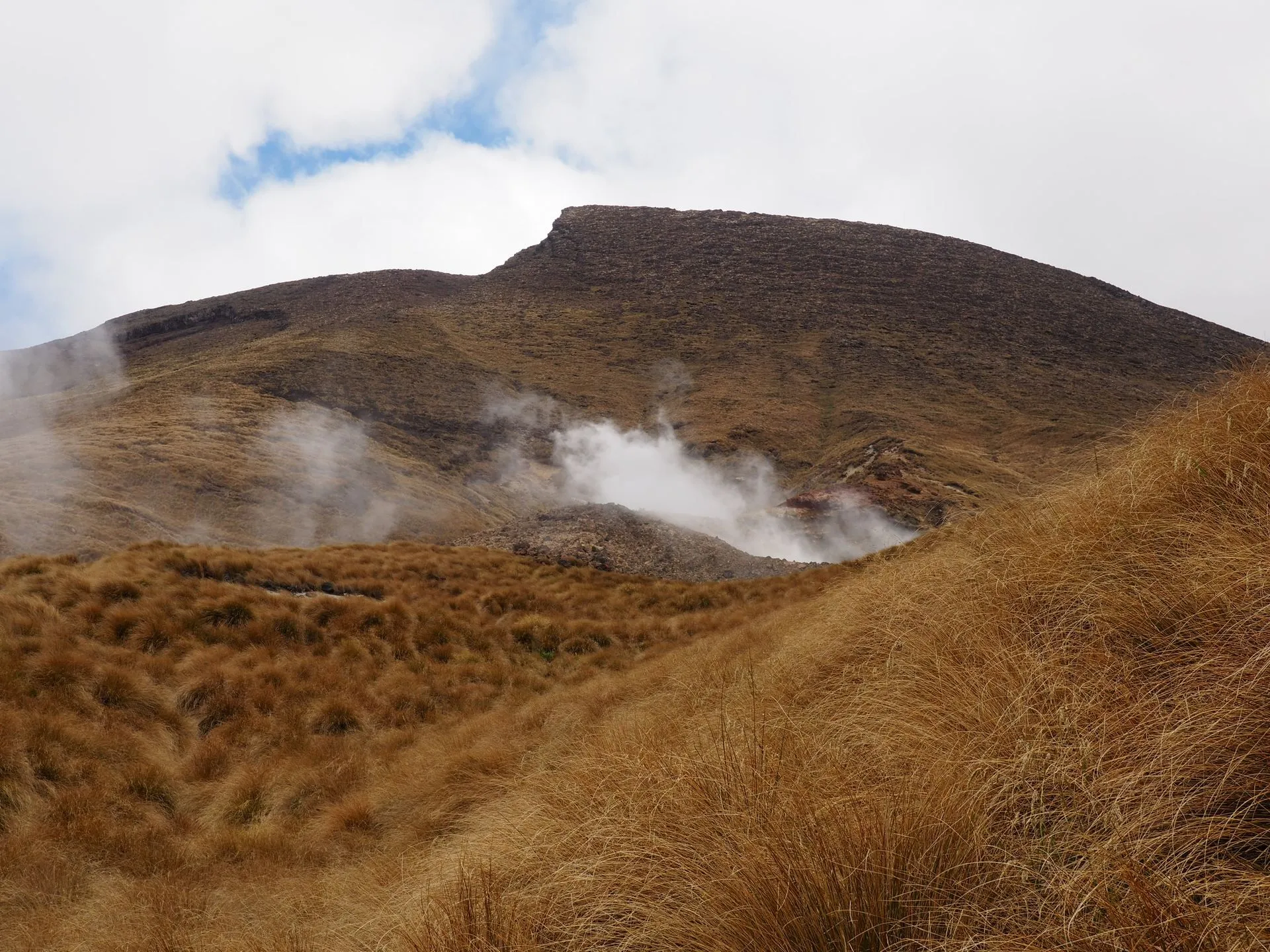 Ketetahi Hot Springs area