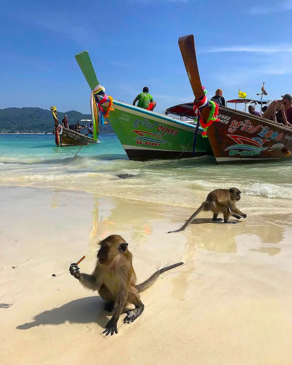 Monkey Beach Shoreline