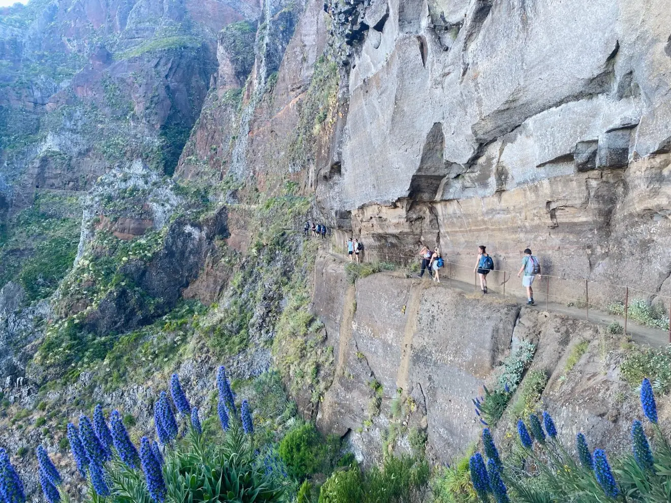 Your experience at Pico Do Arieiro Sunrise Transfer