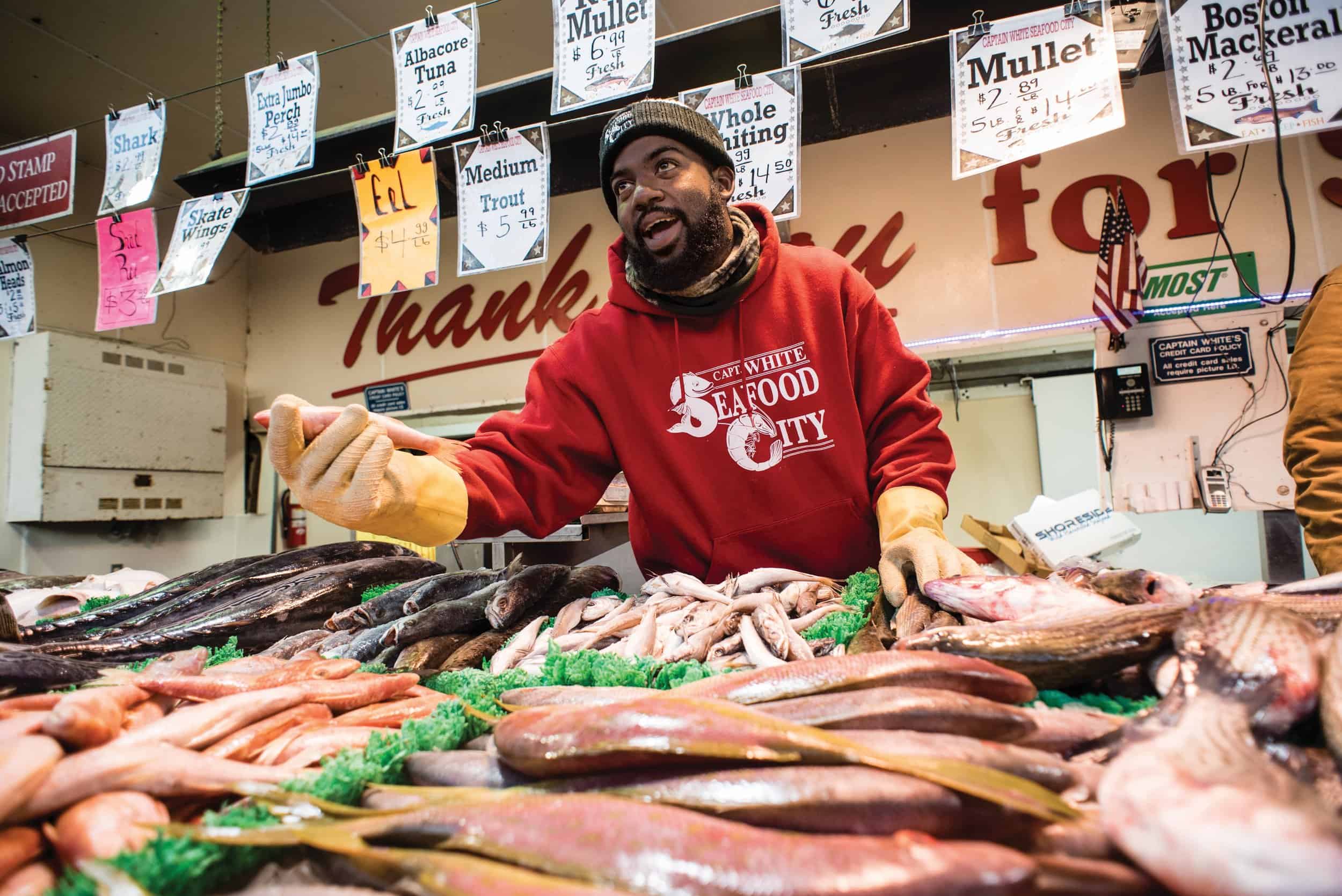 Fish Market