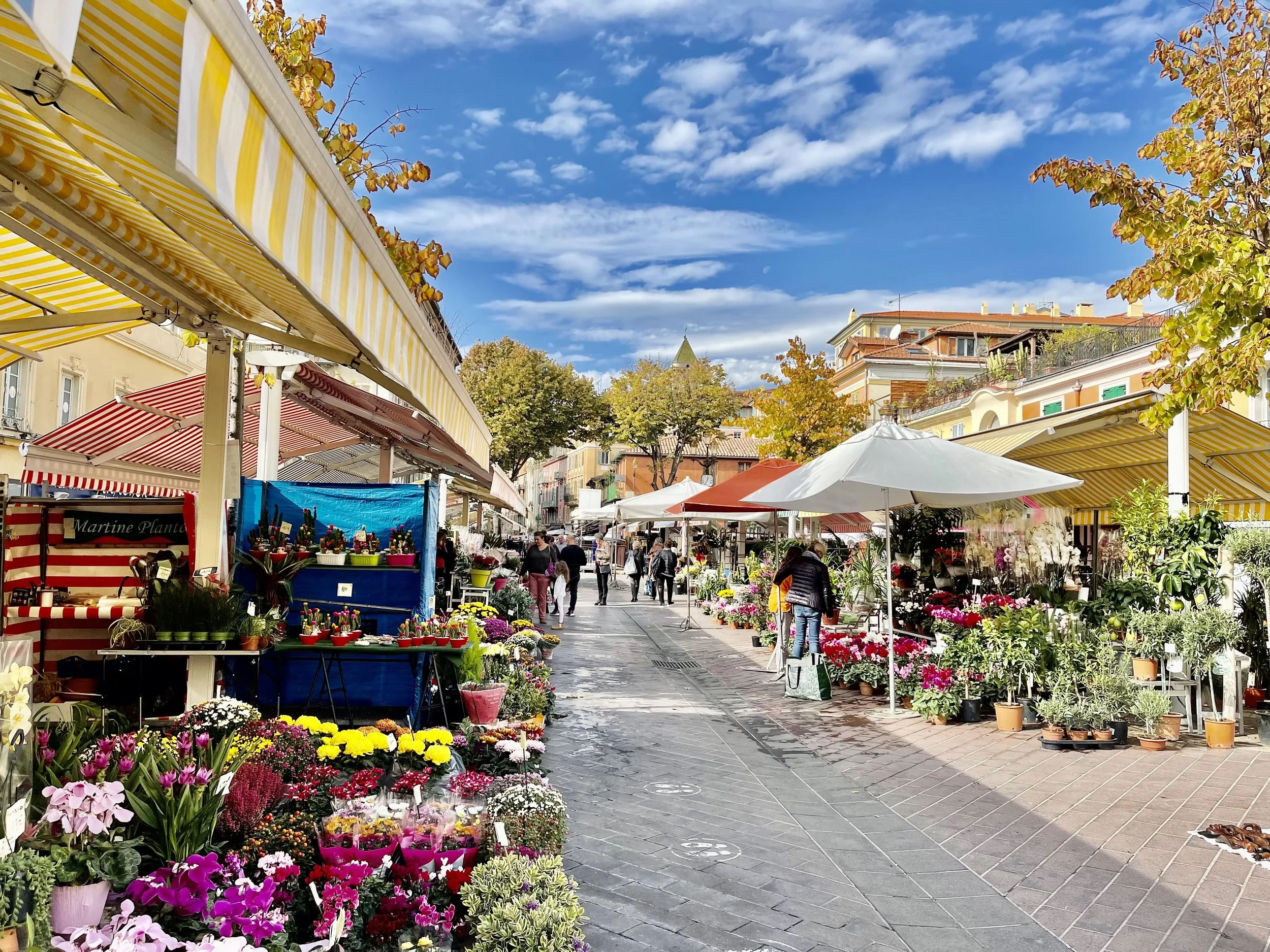 Cours Saleya