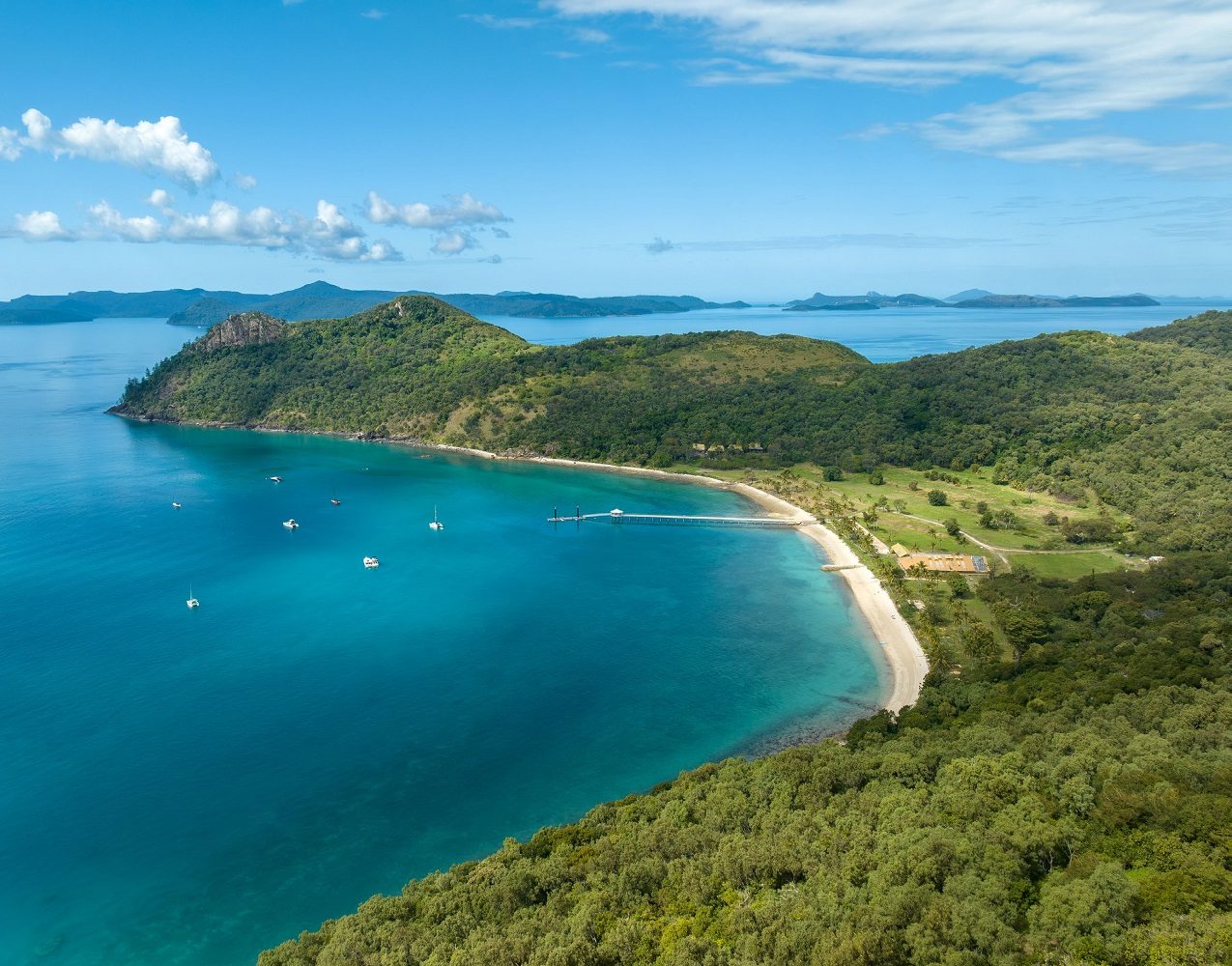 South Molle Island Fringes