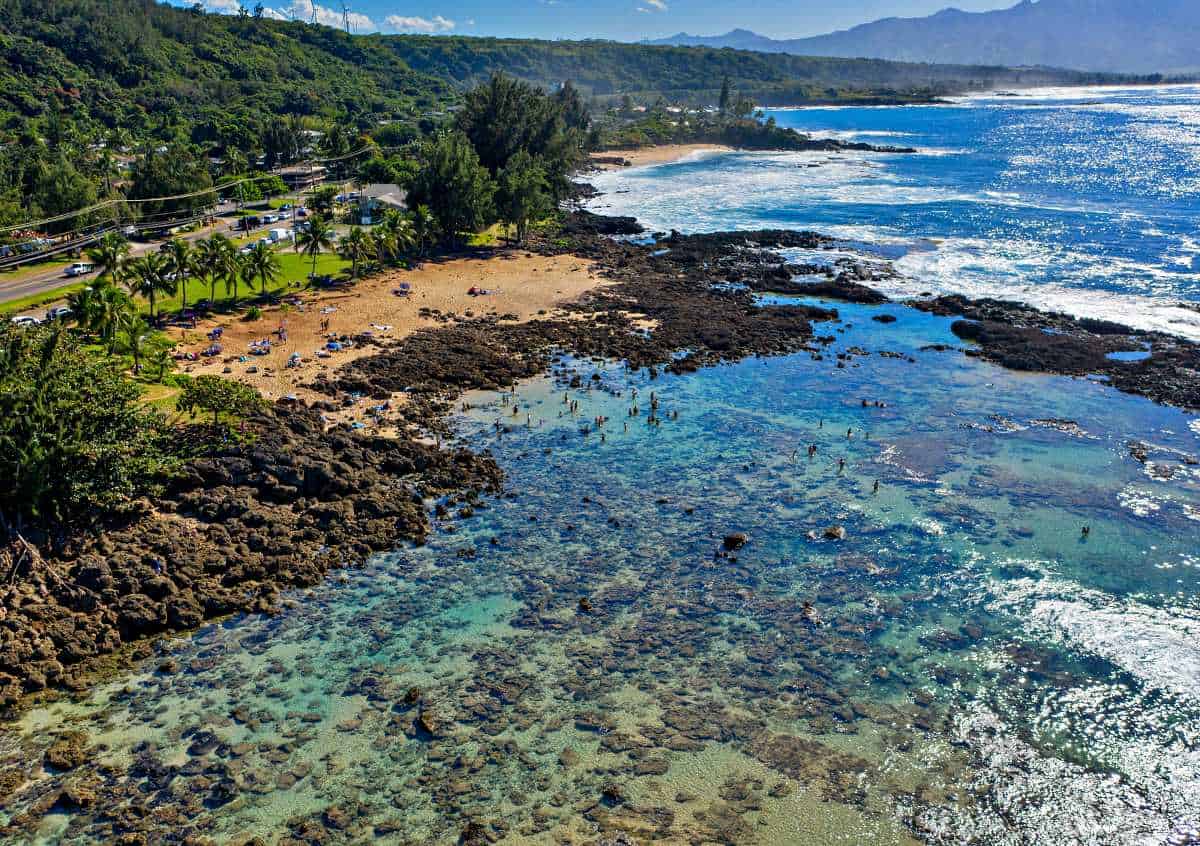 Shark’s Cove