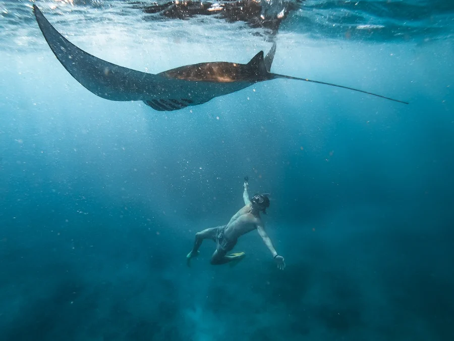 Snorkeling Nusa Penida Private Boat