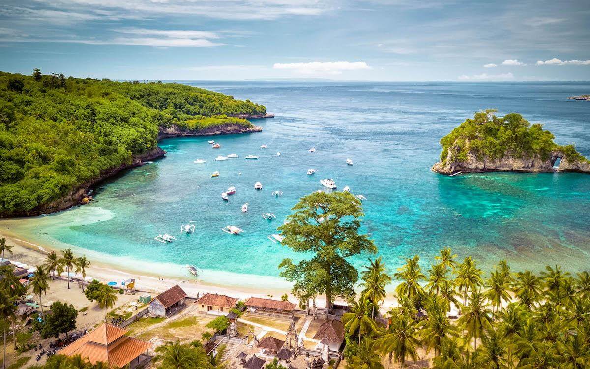 Palm-Lined Shore