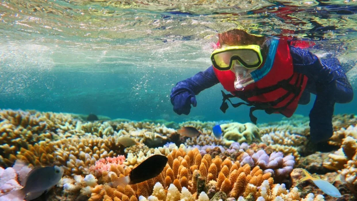 Coral Gardens