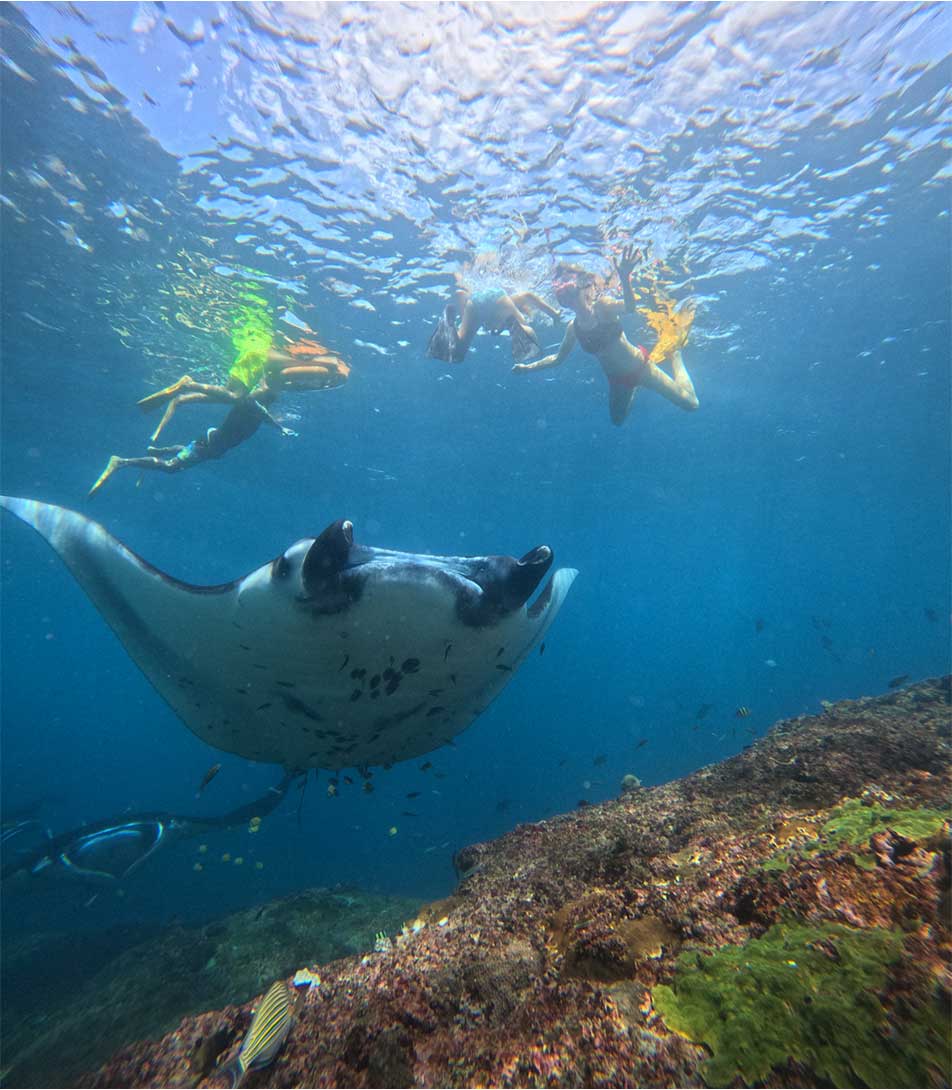 Manta Bay Shallow Reef