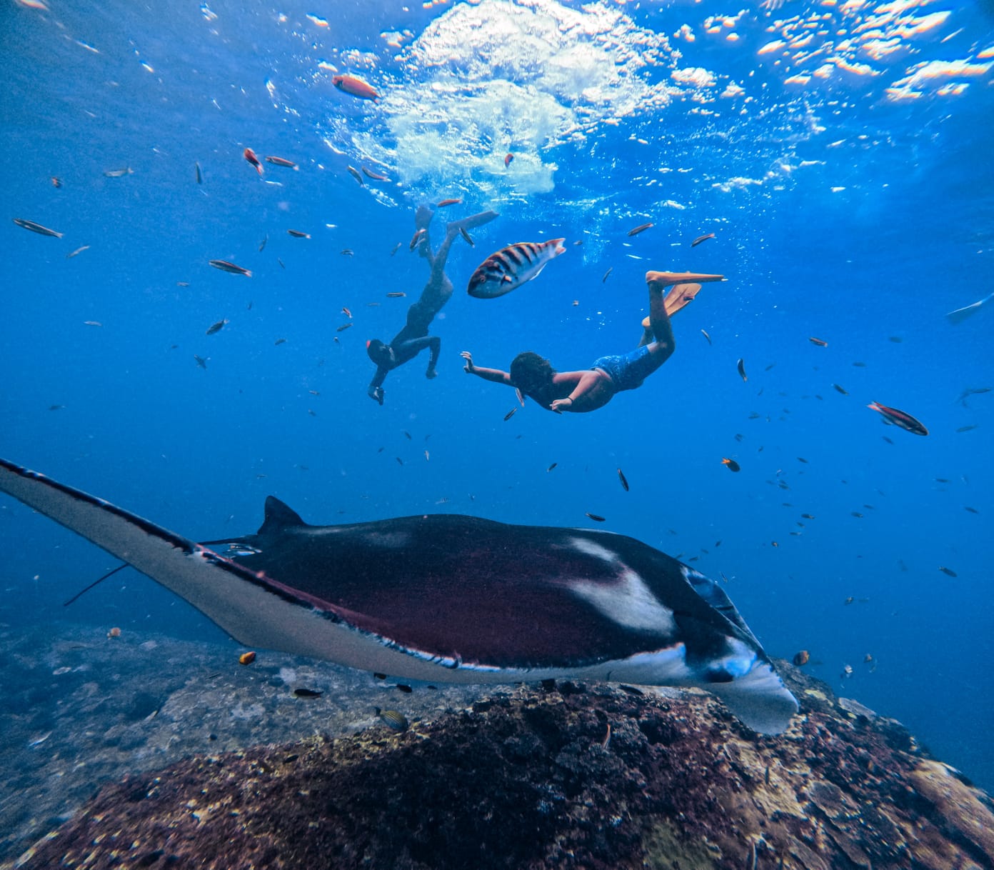 Manta Point