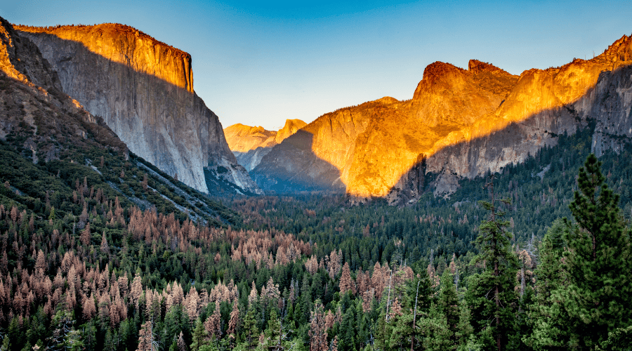 Yosemite Day Trip From San Francisco Itinerary