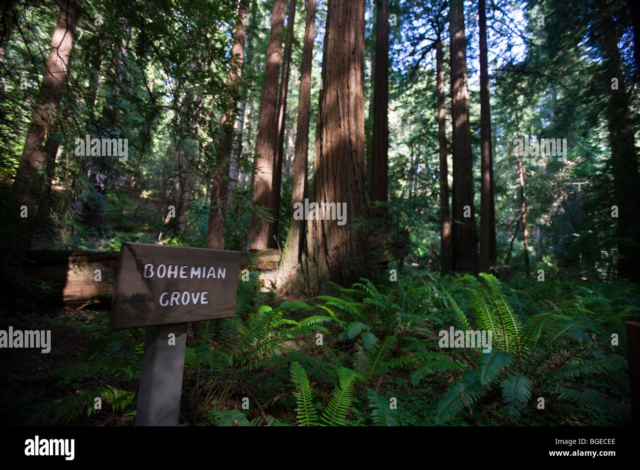Bohemian Grove