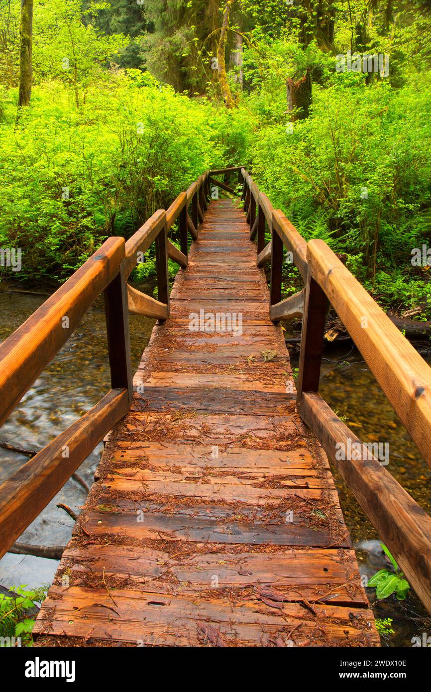 Bridge 2