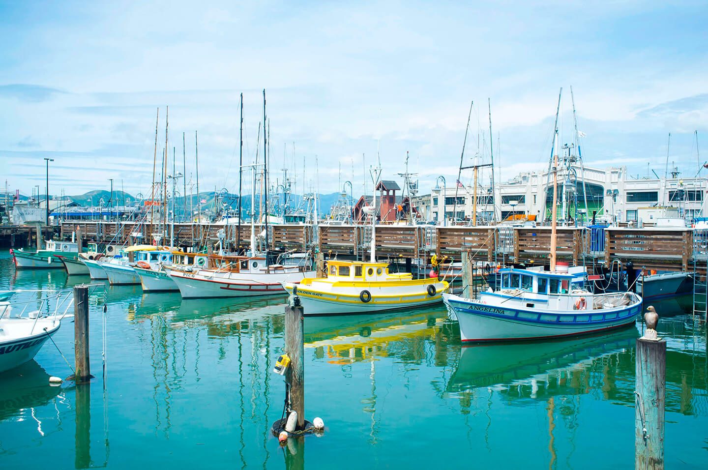 Fisherman's Wharf