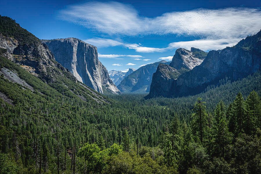 Yosemite Day Trip From San Francisco Worth It