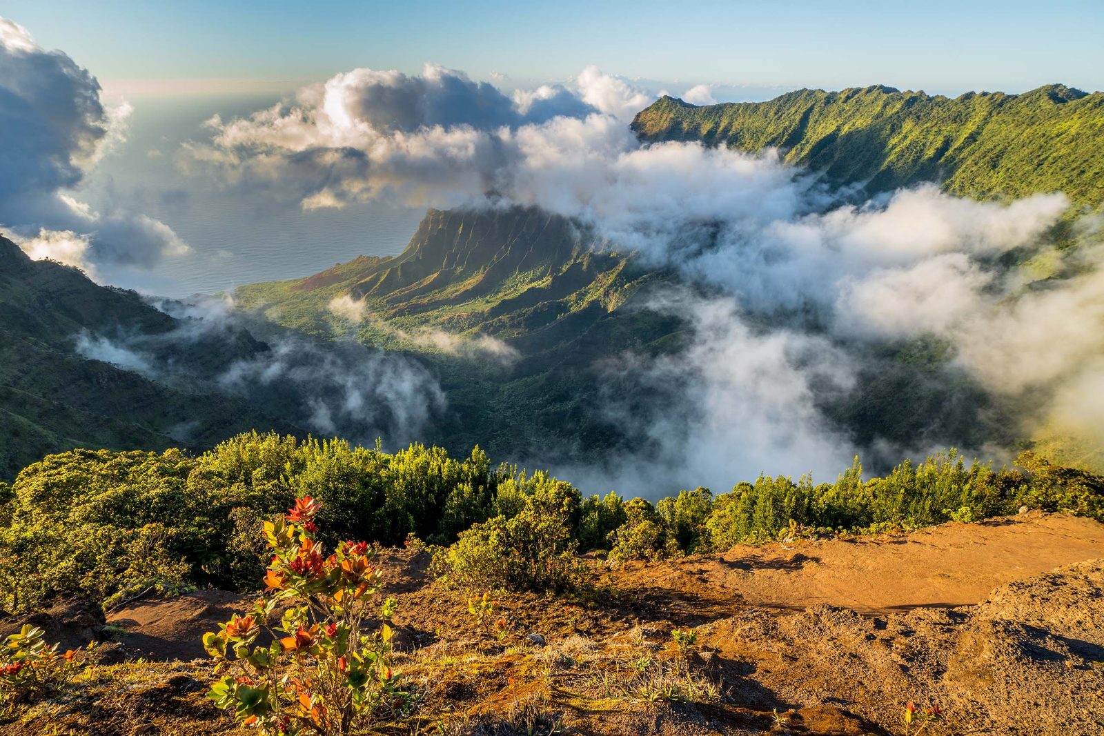Pihea Trail Viewpoint