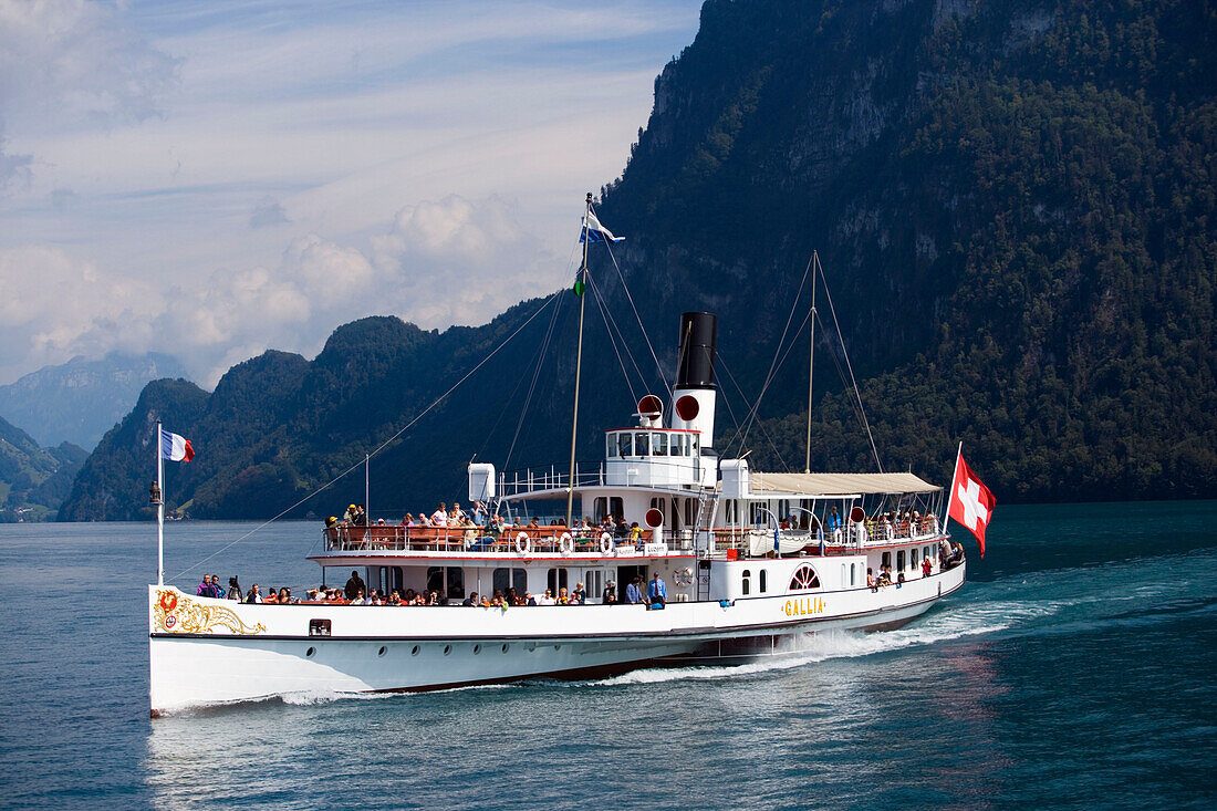 Steamship Gallia