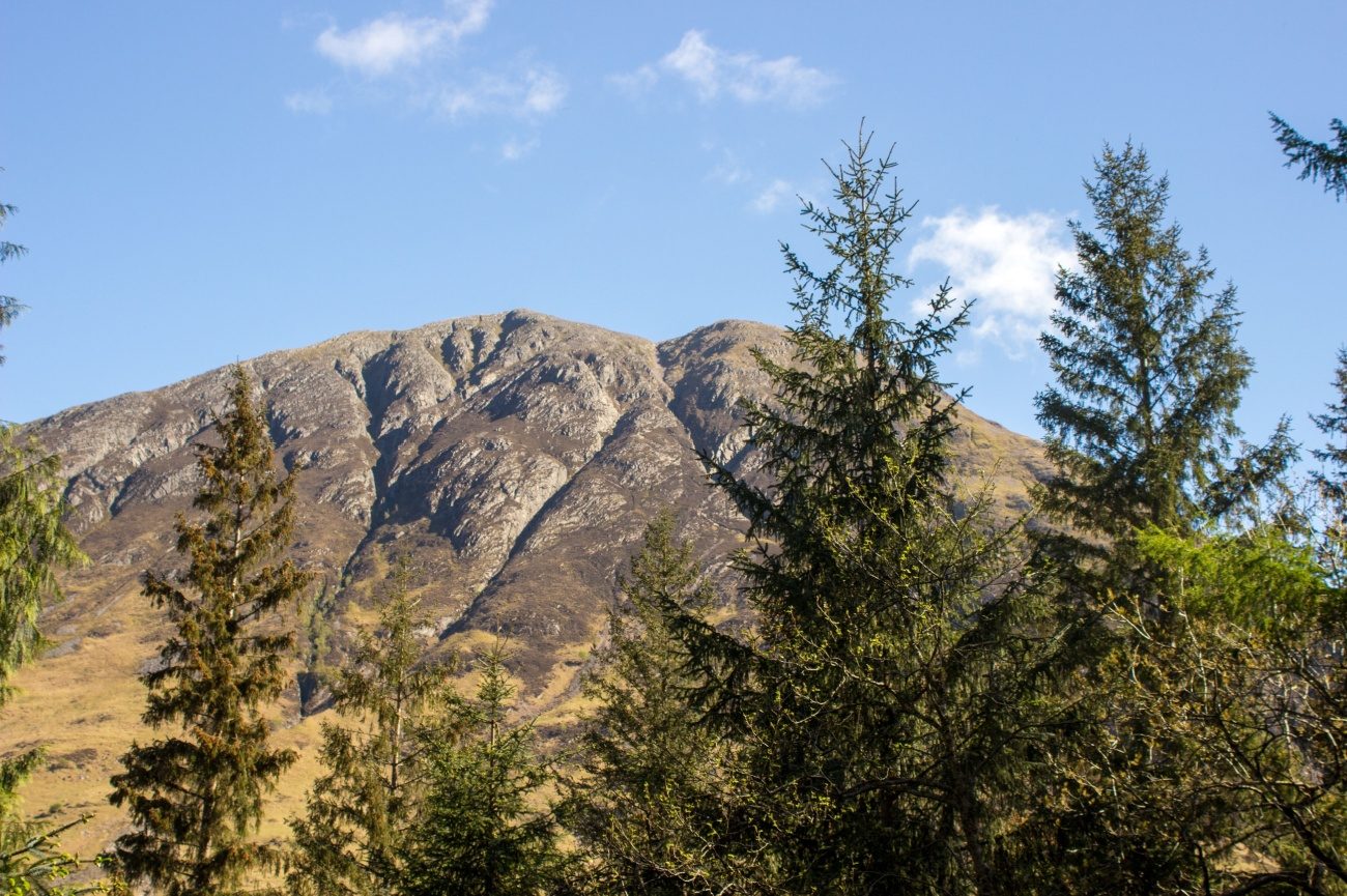 Signal Rock