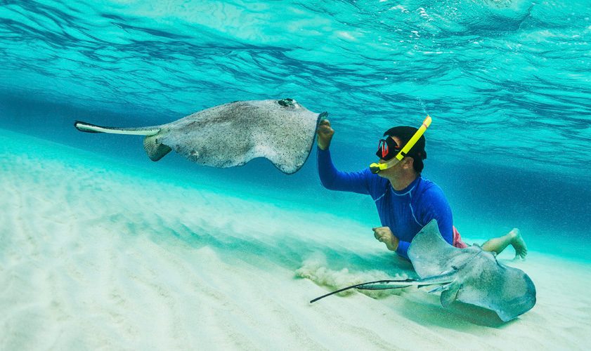 Marine Life Encounters