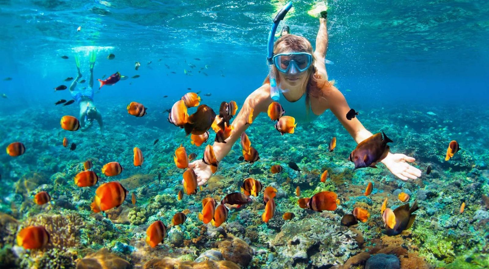 Snorkeling Punta Cana