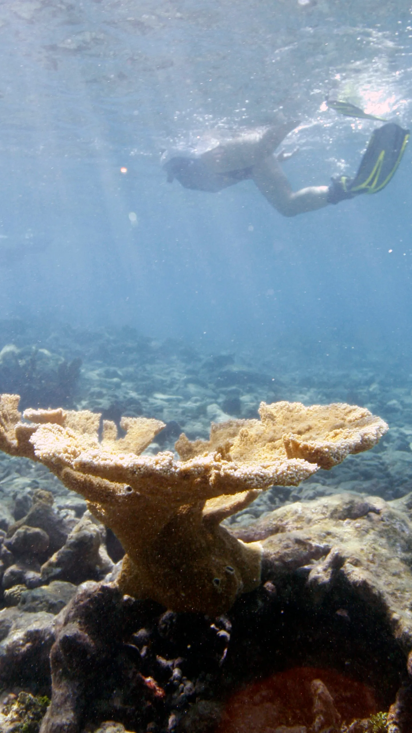 Your experience at Key West Snorkeling Tours