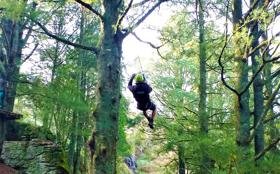 Your experience at Waitomo Zipline