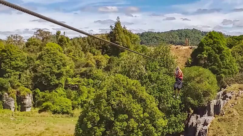 Waitomo Zipline Adventure Through Native Forest