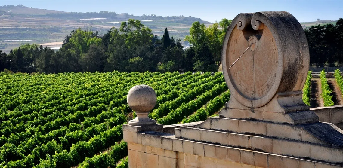Wine Tasting Malta Experience Overview