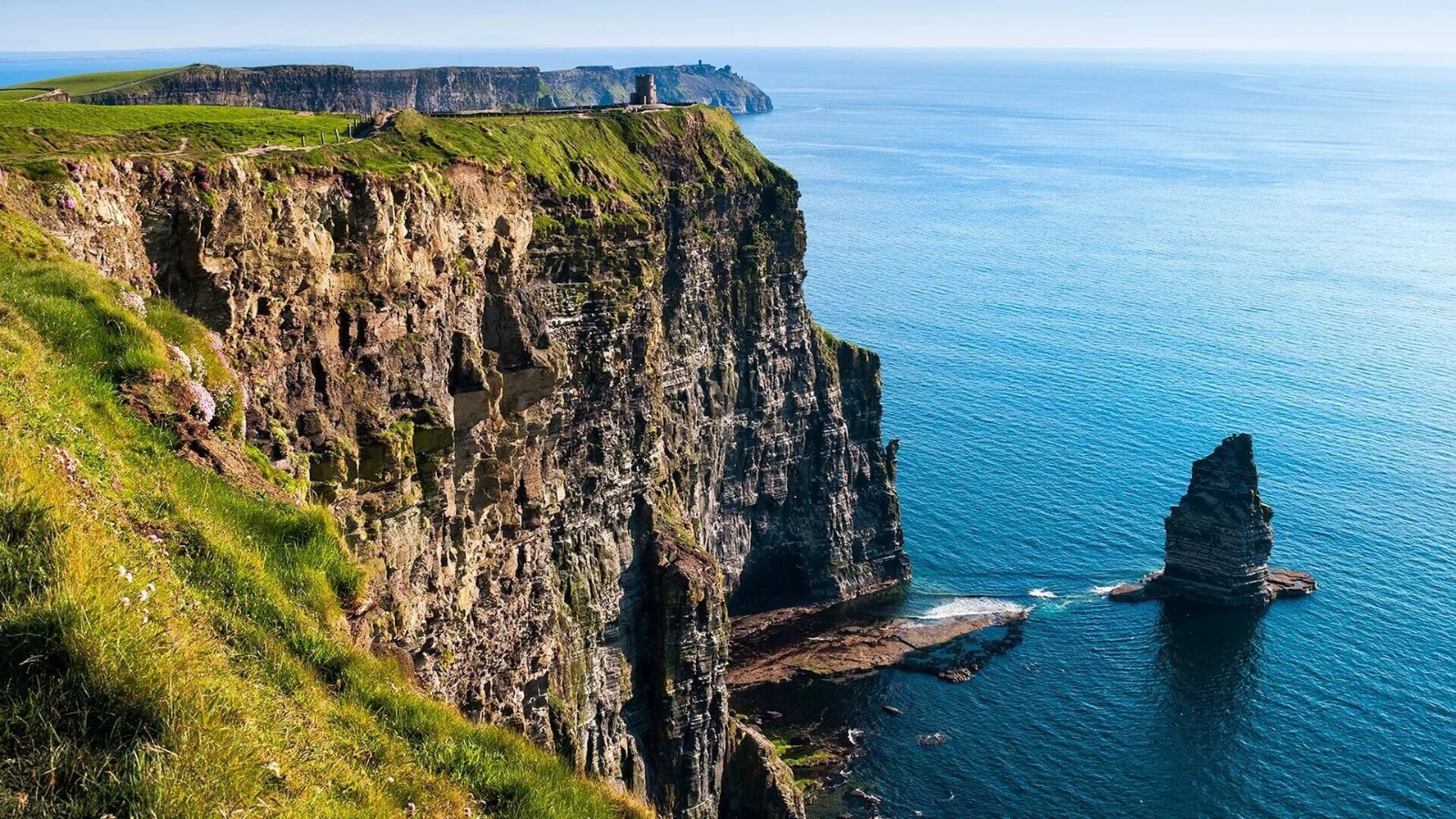 Cliffs of Moher Cruise Experience