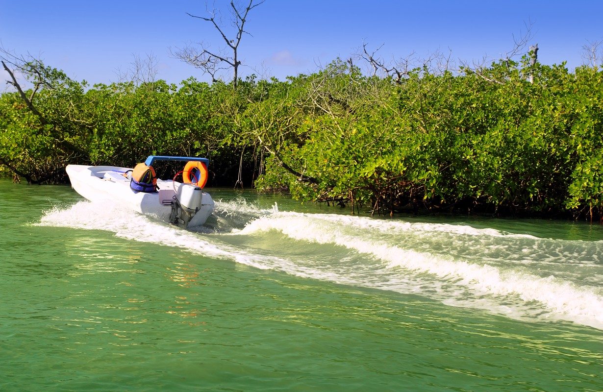 Jungle Tour Cancun: Speedboat Adventure