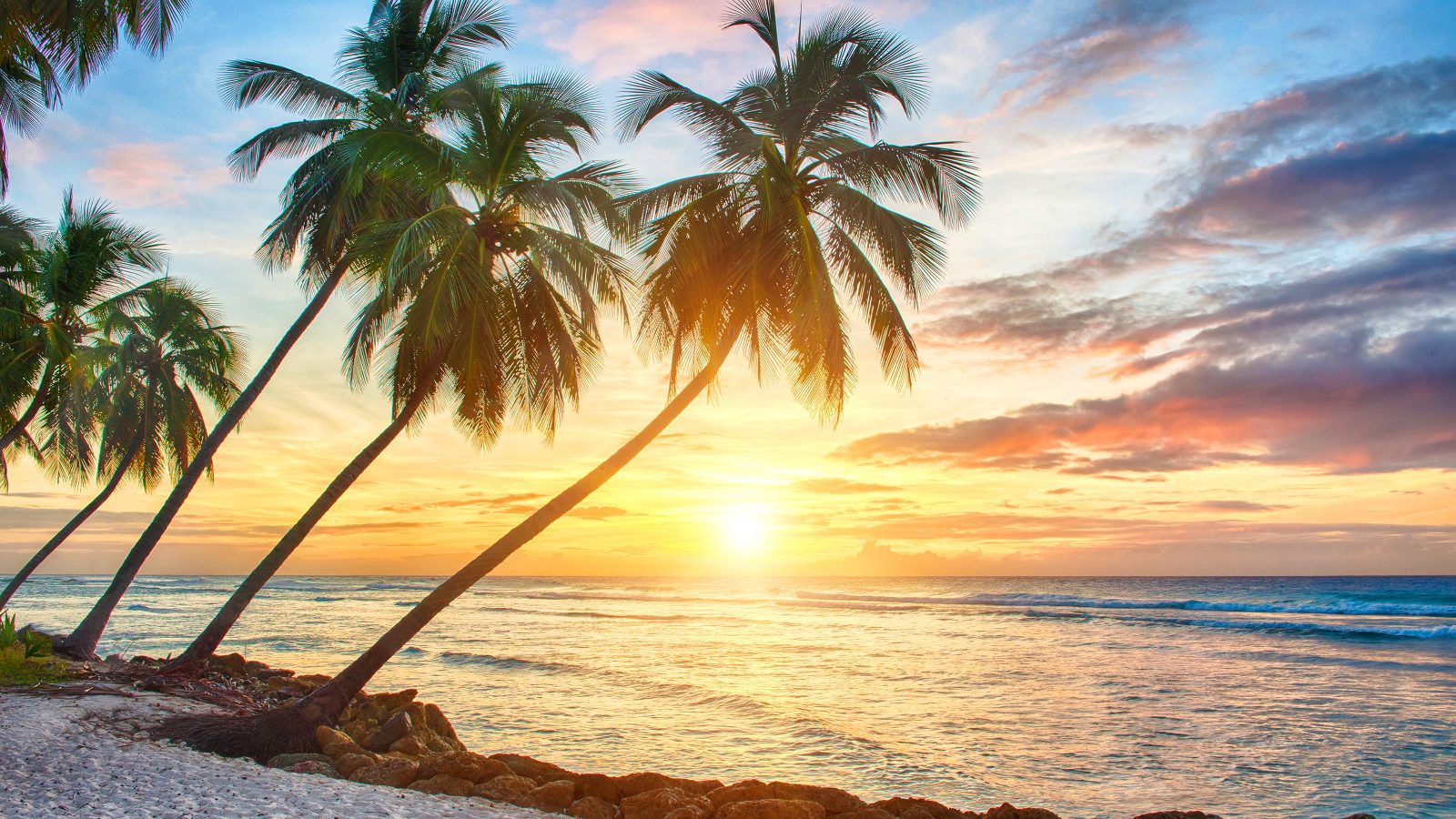 Sunset Horizon