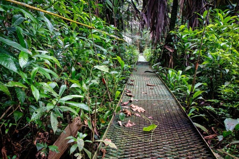 Jaguar Corridor