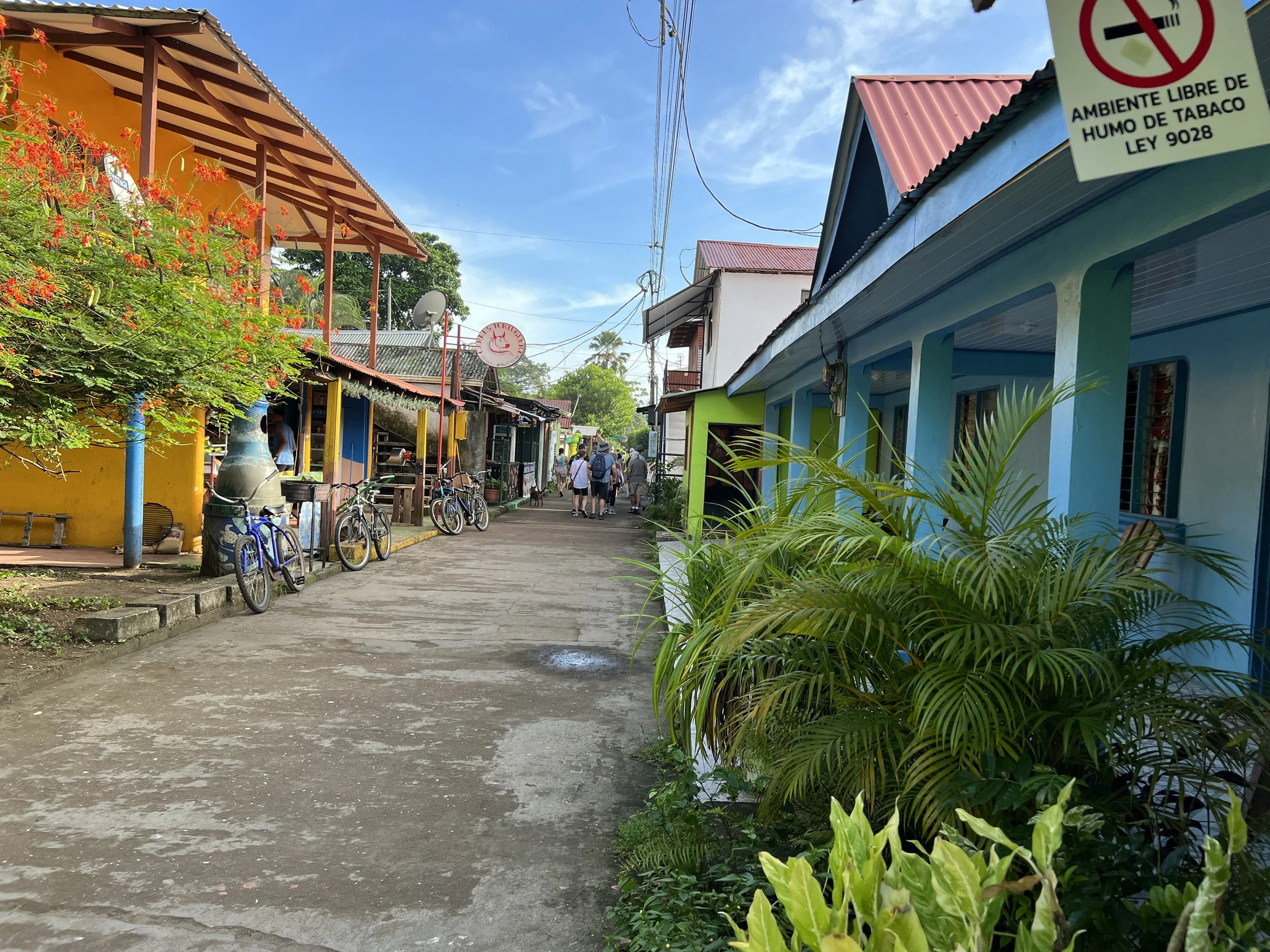 Tortuguero Village