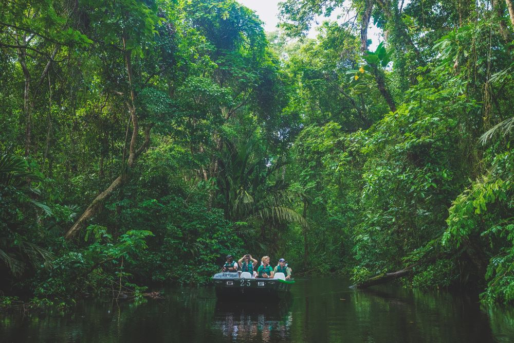 Your experience at Tortuguero National Park Tours