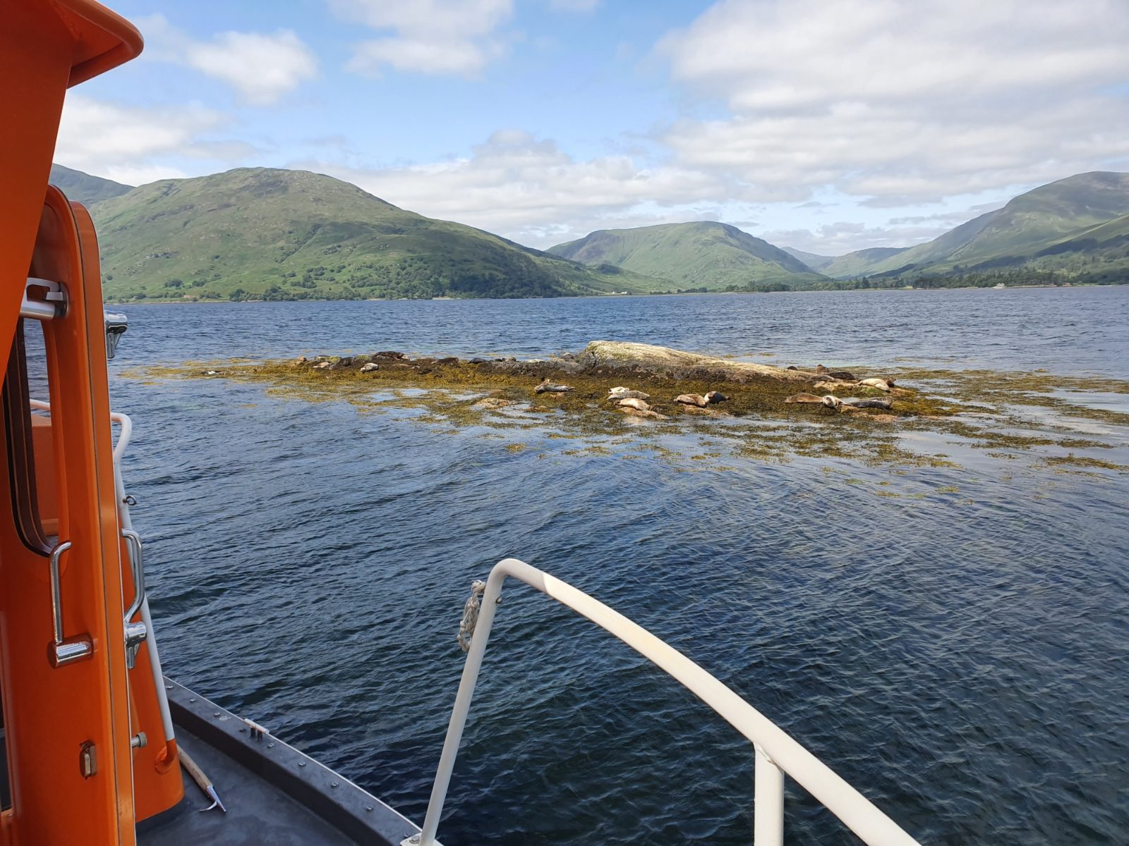 Your experience at Cruise Loch Linnhe