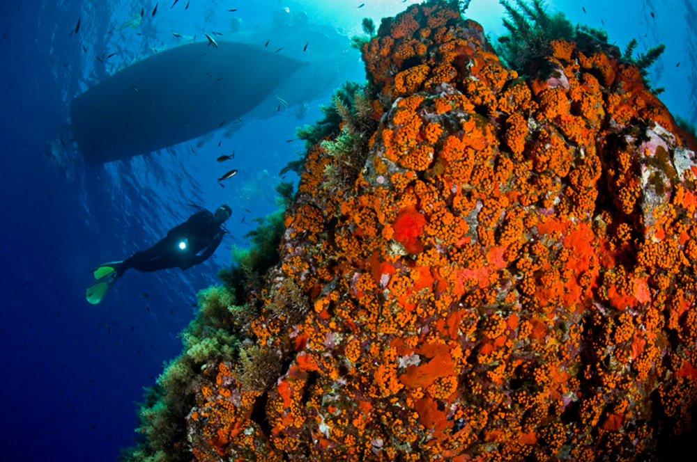Ustica Island