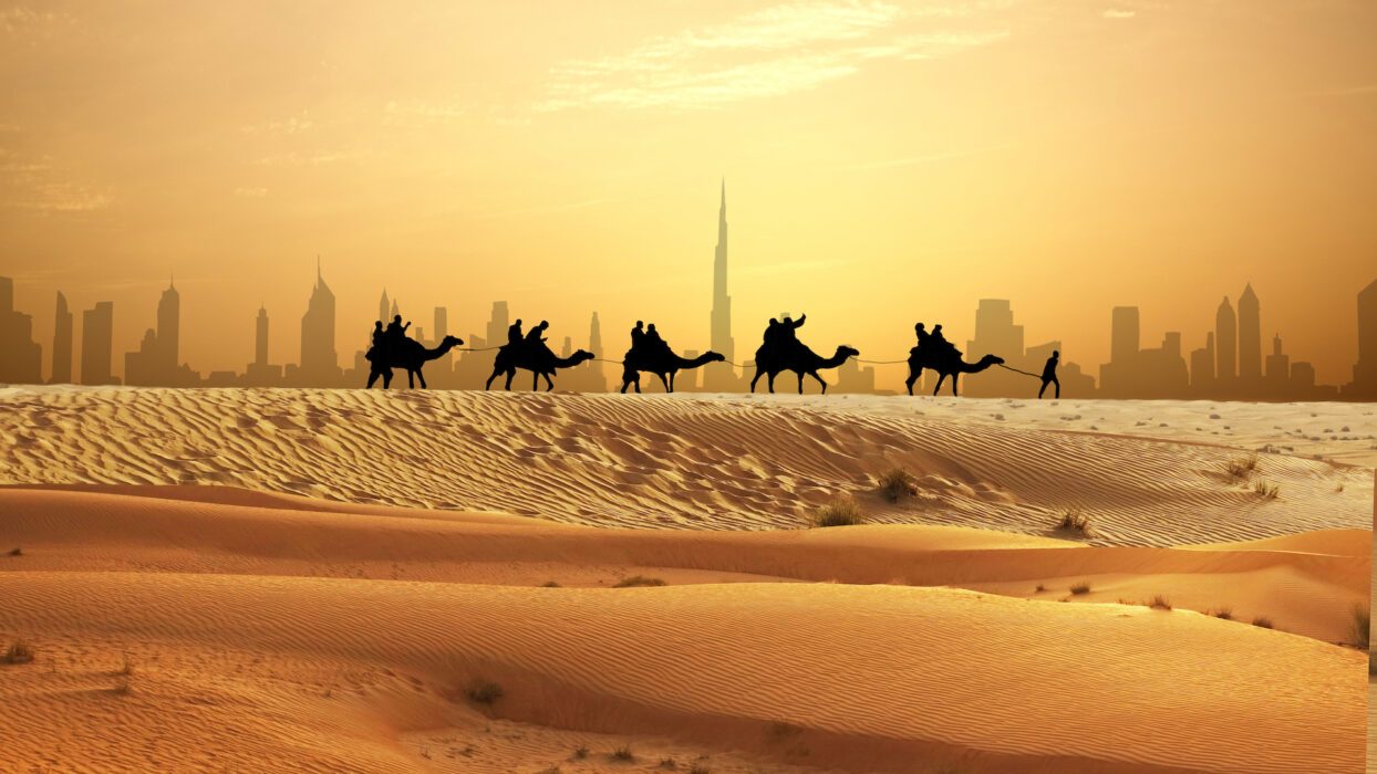 Camel Ride Dubai Desert Experience