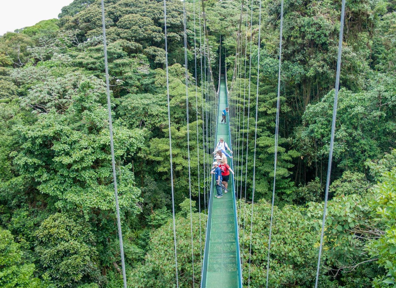 Your experience at Monteverde Cloud Forest Reserve Tickets