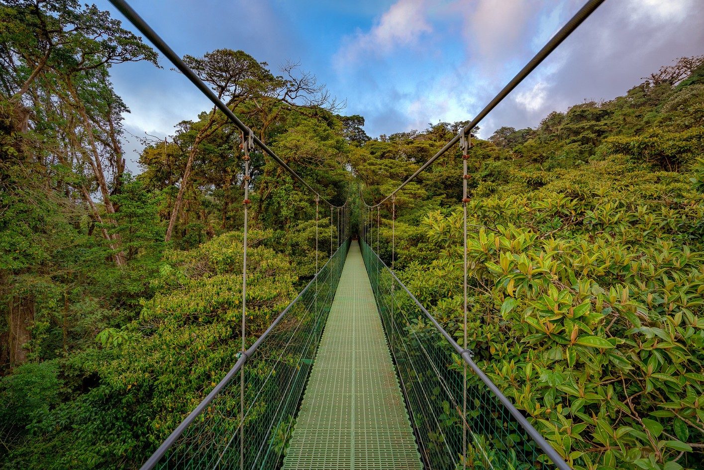 Monteverde Cloud Forest Reserve Tickets