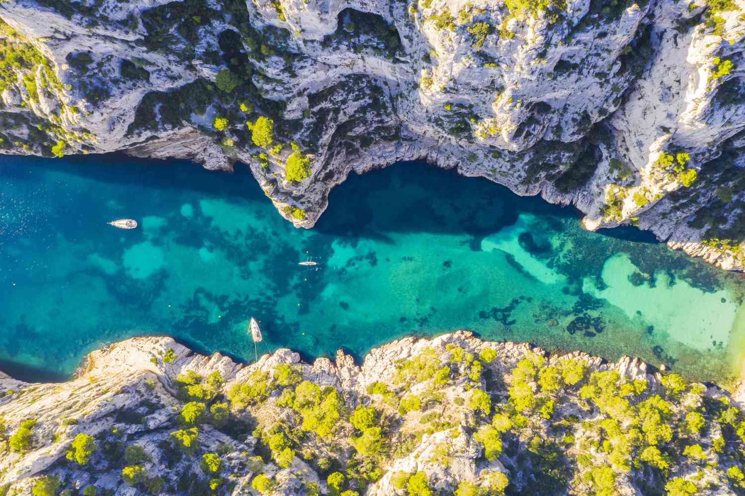 Calanques Boat Tour Experience