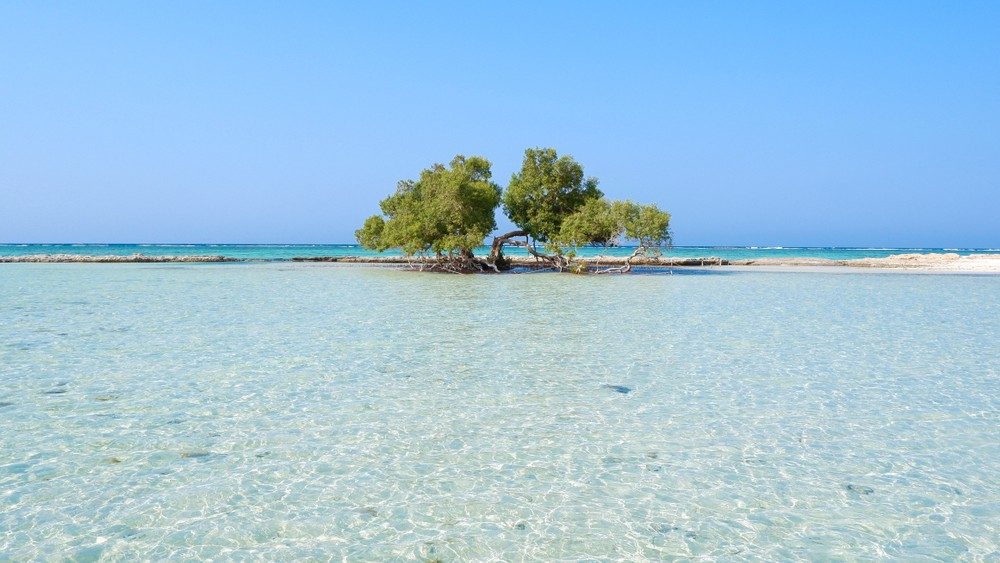 Sharm El Luli