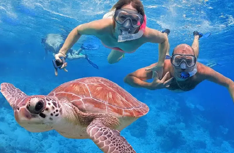 Marsa Alam Snorkeling