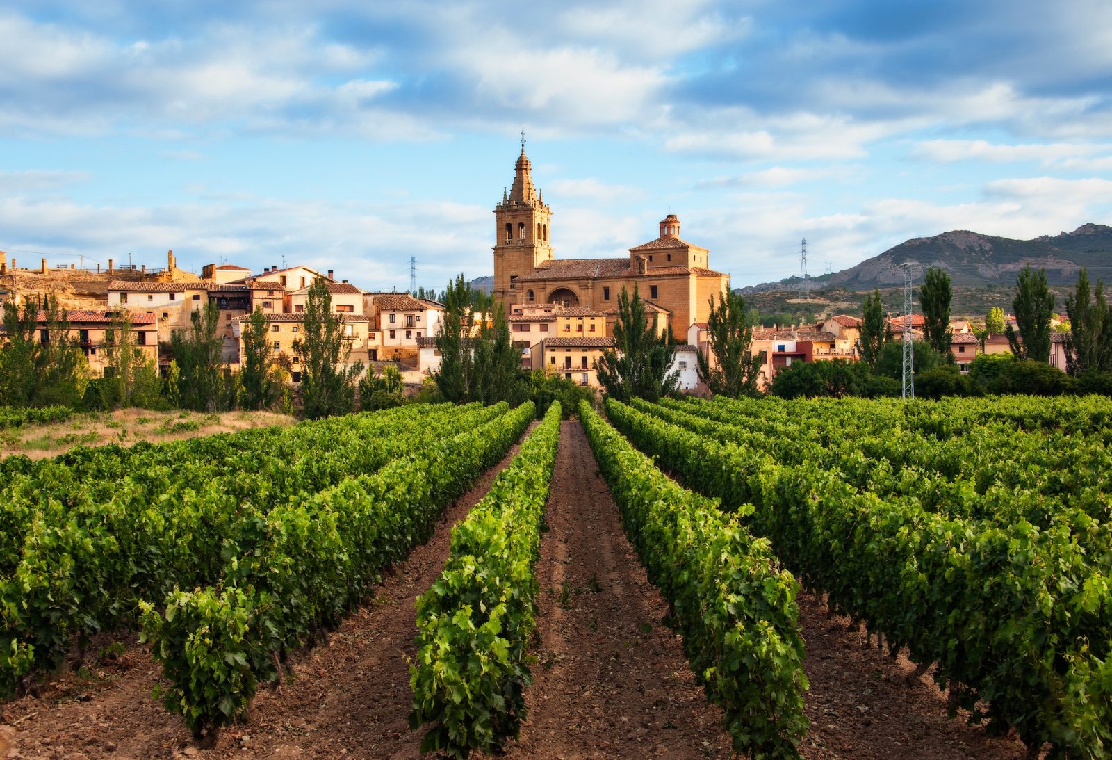 Rioja Wine Tour
