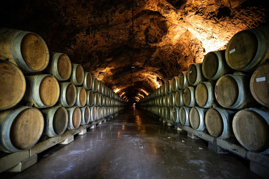 Rioja Wine Tour Experience