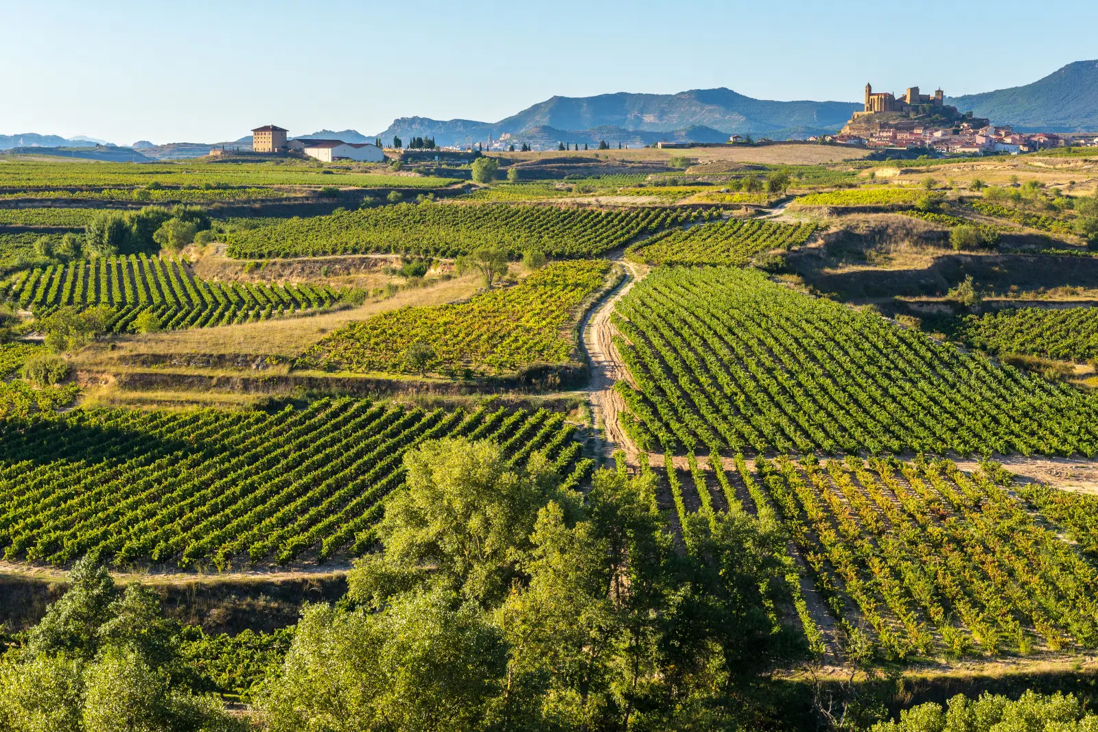 Your experience at Rioja Wine Tour