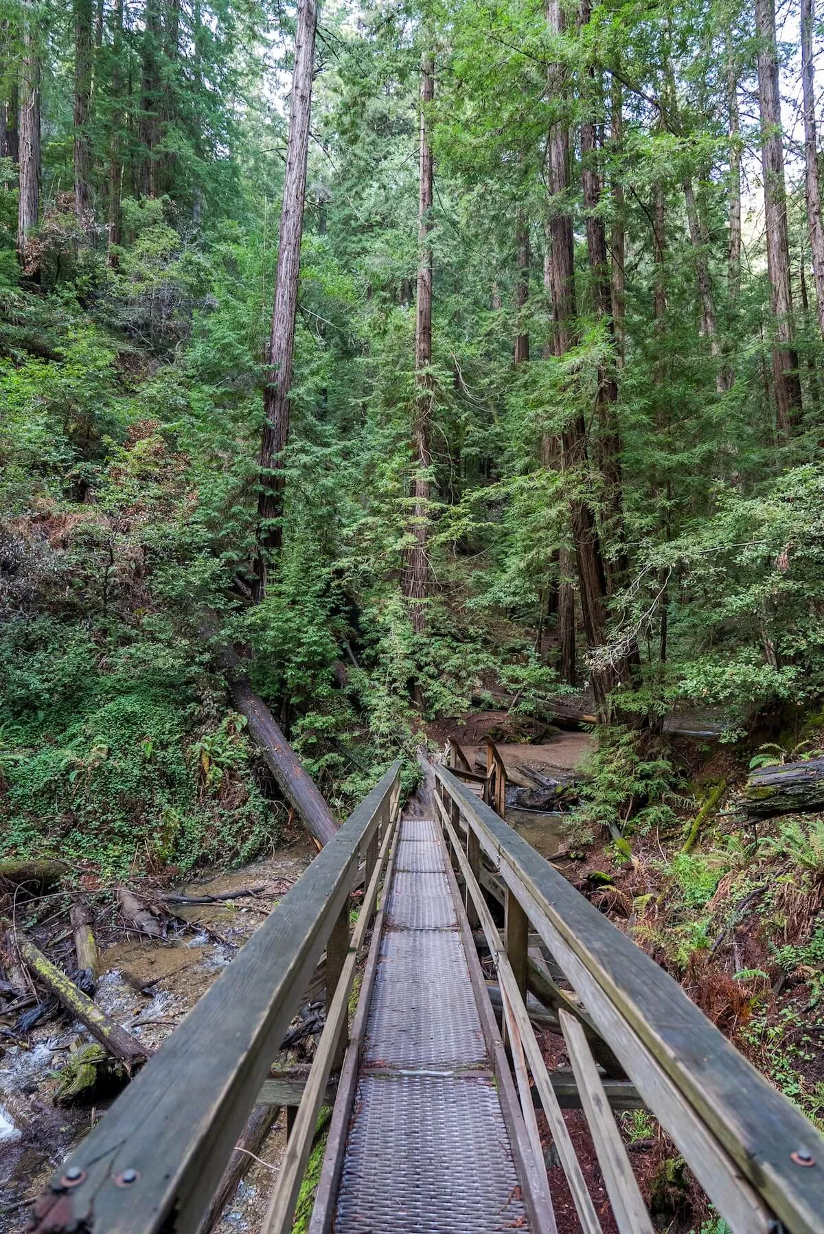 Bridge 2