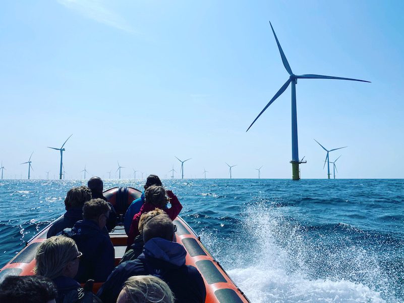Your experience at Brighton Boat Trips